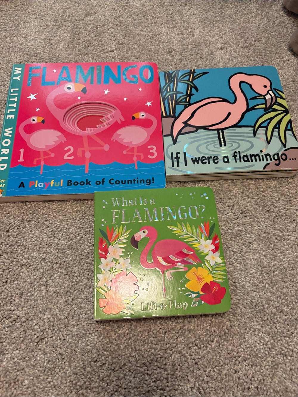 Flamingo Kids Board Book Set